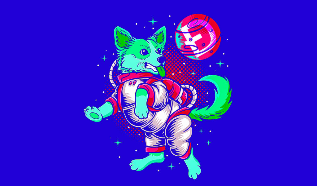 Dogecoin (DOGE) Founder Advises Against Investing in Memecoins and NFTs, Call Crypto Scene ‘Stupid’