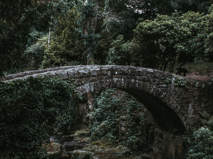 DeFi Broker Prime Protocol Introduces Bridgeless Cross-Chain Token Transfers