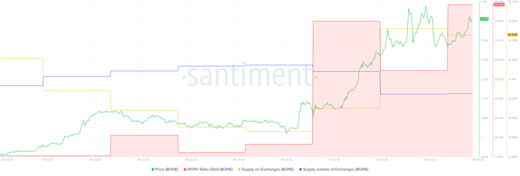 SHIB, BONE rallies like never before -What’s driving the surge?