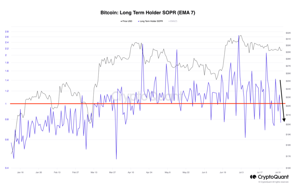Bitcoin: LTHs and STHs may want to know this about their BTC holdings