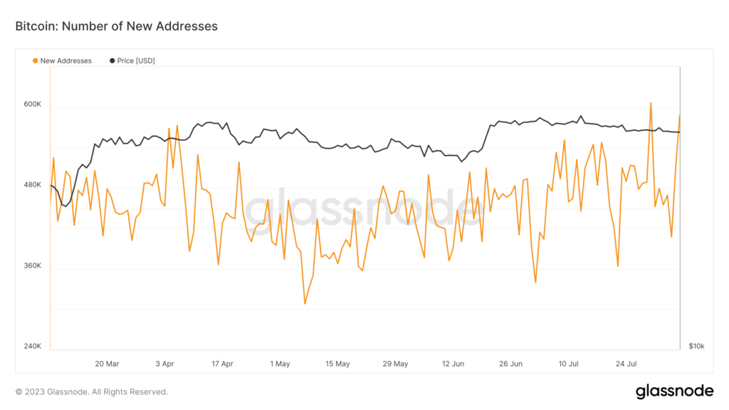Bitcoin: New user influx raises hope amid sluggish price trend